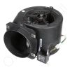 Blower Assembly with Motor