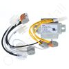 Wire Harness